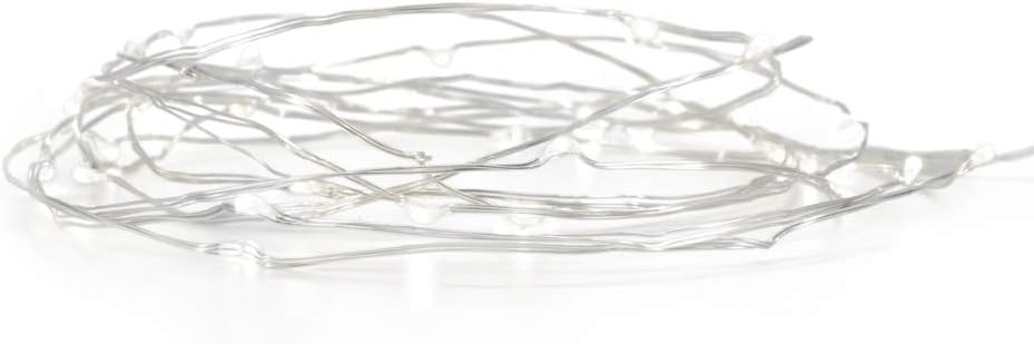 Product Works Tiny Lites Battery Operated Silver Wire Indoor LED Light String, Cool White, 9.8-Feet