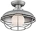 Franklin Iron Works Franklin Park Rustic Industrial Outdoor Ceiling Light Galvanized Steel Cage 12