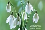 Card Box of 20 Notecards and Envelopes: Snowdrop: A delightful pack of 20 high-quality flower gift c by 