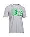 Under Armour UA Blitz Logo LG True Gray Heather