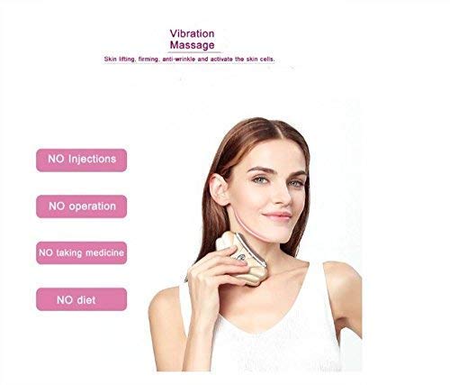 CHUHUAYUAN Microcurent Face Lift Face Firming Tool Anti Wrinkle Face Neck Skin Tightening LED Heated Vibration Face Massage (USB Rechargeable)