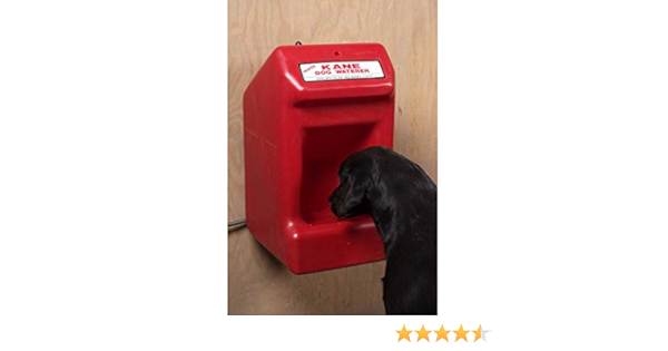 heated automatic dog waterer