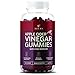 Premium Organic Apple Cider Vinegar Gummies with The Mother for Energy, Diet Control, Fat Burner - Gummy Alternative to Apple Cider Vinegar Capsules, Pills, ACV Tablets - Detox, Cleanse