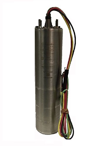 Goulds M20432 4" CentriPro Motor, 2 HP, 230 V, Three Phase