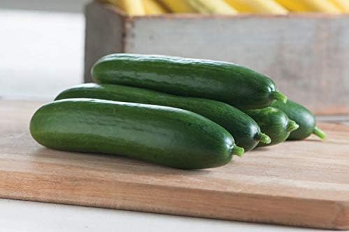 Plentree 25 Seeds:"USA" Organic Diva F1 Cucumber 25-200 Seeds