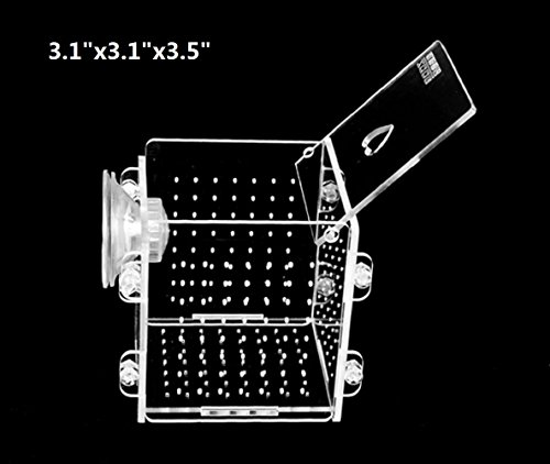 1 Hamiledyi+Aquarium+Isolation+Hatchery+Incubator