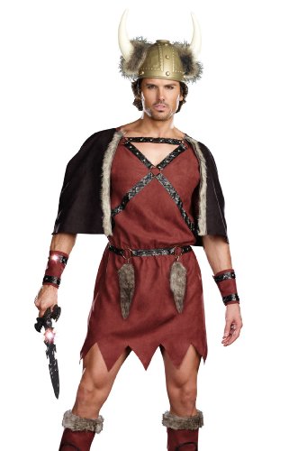 Dreamgirl Men's Viking Warrior Costume