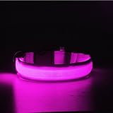Nylon Pet Dog Collar Night Safety LED Light-up Flashing Glow in the Dark Lighted Circular Pendant Collar (Pink, L)