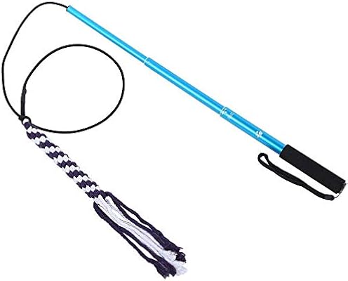 Amazon Com Souls For Paws Chasing Stick K9 Flirt Pole Dog Training Toy Telescoping Flexible Chase And Agility Trainer Heavy Duty Interactive Play Small Medium Large Breeds Pet Supplies