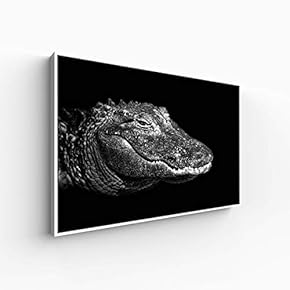 for Living Room Bedroom Animal Portrait Framed for