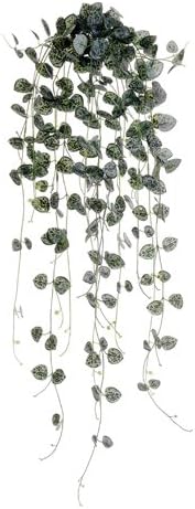 Silk Plants Direct Ivy Bush (Pack of 12)