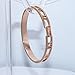Baoliren Rose Gold Plated Titanium Roman Numeral Women's Bracelet