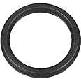 Intex Stepped Washer Gasket