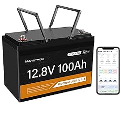 VESTWOODS Smart 12V 100Ah LiFePO4 Lithium