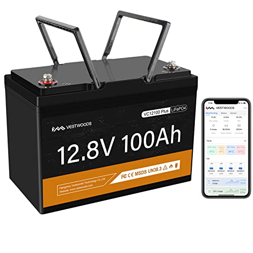 VESTWOODS Smart 12V 100Ah LiFePO4 Lithium