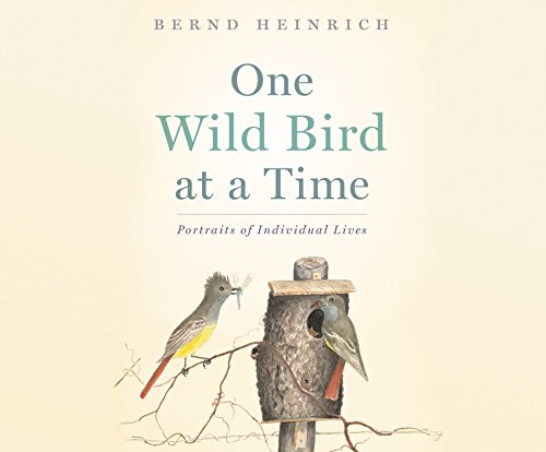 Download One Wild Bird at a Time: Portraits of Individual Lives Download One Wild Bird at a Time: Portraits of Individual Lives