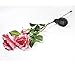 LED Concepts SLR-RSPI Solar Powered Garden Outdoor Decorative Landscape Lights Year, Pink Rose