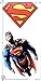 Superman Winged S Shield Logo All Over T Shirt & Stickers (Medium)