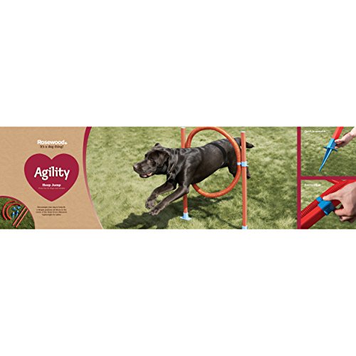 Agility Hoop Jump - Dog play & exercise toy