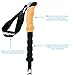 BigFoot Outdoor - Collapsible 100% Carbon Fiber UltraLight 4 Season Trekking Poles - Cork Grips