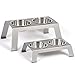 PetFusion Elevated Dog Bowls in Premium Anodized Aluminum Stand (Tall 8