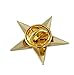 Forge 3D 5 Point Gold Star Lapel Pin (5 Pack)