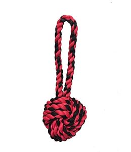 Picture of 10 Best Toughest, Durable Dog Toys For Heavy Chewers