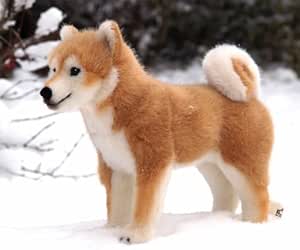 peluche akita inu