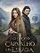 Livro O Eco do Carvalho e da Espada: Quando o Tempo se Quebrou (Entre a honra e o desejo Livro 6)