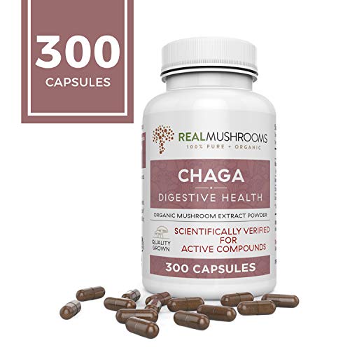 Real Mushrooms Chaga Mushroom Supplement (300ct) Chaga Mushroom Capsules for Digestive Health