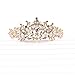 Zapire Rhinestone Women Bridal Tiaras Wedding Crowns with Earrings Princess Headbands for Girl Hair Accessories