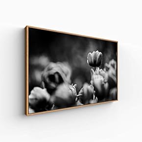 Canvas Wall Art for Living Room, Bedroom Monochrome Plants Framed Canvas Prints for Home Decoration Ready to Hang - 16x24 inches