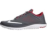 Nike Men's FS Lite Run 2 Running Shoe
