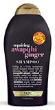Ogx Shampoo Awapuhi Ginger 19.5 Ounce (576ml) (2 Pack)