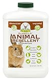 Concentrated Animal Repellent - Bobbex | Ready-To-Use Outdoor Rabbit, Squirrel, and Chipmunk Repeller Concentrate (32 oz.) B550120