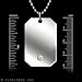 POLAND FLAG POLISH EAGLE POLSKA CREST PENDANT DOG TAG ARMY BALL CHAIN NECKLACE