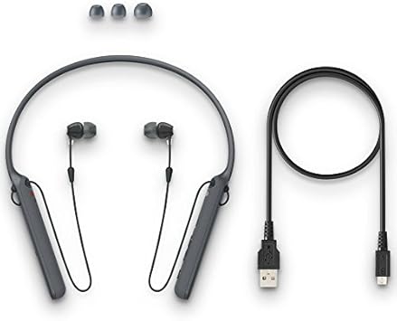 Sony wi c400 price amazon Clearance