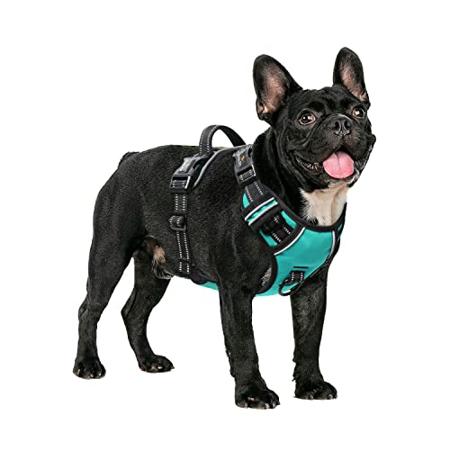 HEELE Dog Harness