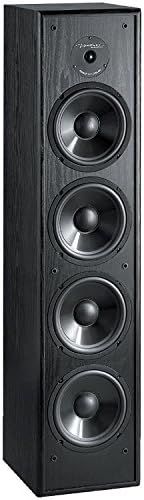 bic america venturi dv64