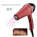 Hair Dryer Professional Hair Blower Constant Temperature Hot Cold Wind Hairdryer with 2 Nozzle Hair Styling Attachments Home Appliances Barber Shop Tools 2000W (US Plug)thumb 2