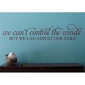 Wall Decor Plus More WDPM3517 We Can't Control The Wind Inspirational Wall Decal Quote, 36 by 7", Black 41Ym 36jAjL