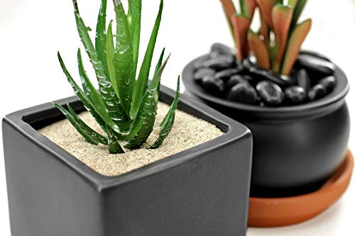 3 Pounds+Natural+Decorative+Real+Sand