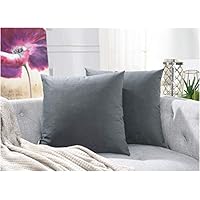 COMFORTLAND 20 x 20 Pack of 2 Soft Velvet Solid Decorative Square Throw Pillow Covers Set Accent Pillow Cases Euro Cushion Covers for Farmhouse Indoor Bedroom Sofa Couch Bed Kids,Grey