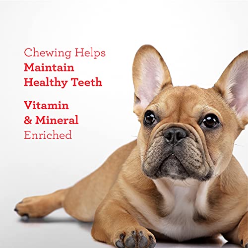 DREAMBONE TWIST STICKS RAWHIDE FREE DOG CHEWS, MADE WITH REAL CHICKEN, 100 COUNT (PACK OF 1)