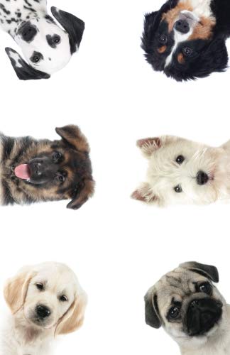 Internet Password Organizer: Puppy Love (Discreet Password Journal) Internet Password Organizer: Puppy Love (Discreet Password Journal)