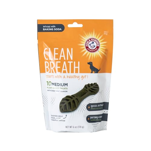 ARM & HAMMER FOR PETS CLEAN BREATH FROM THE INSIDE DENTAL TREATS FOR DOGS, SIZE MEDIUM | MINT FLAVOR FRESH BREATH TREATS WITH PARSLEY, CLOVE AND YUCCA