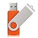 RAOYI 10PCS 2GB USB Flash Drive Orange Pen Drive Thumb Drive USB 2.0 Memory Stick Swivel Design