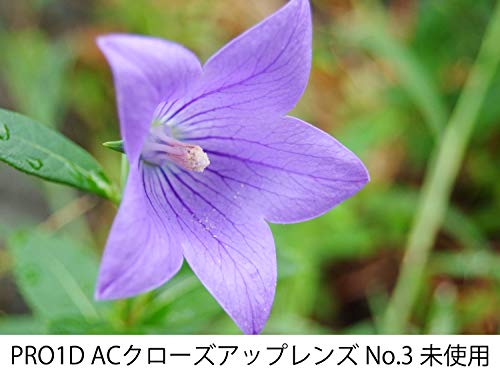 Kenko Close-Up Lens 62mm AC No.3 Achromatic-Lens - Thumbnail 3