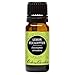 Edens Garden Eucalyptus- Lemon Essential Oil- 100% Pure Premium Grade, Undiluted, Natural, Therapeutic, Aromatherapy, The Best for Diffuser, Candle, Laundry, Humidifiers 10 ml (.33 fl oz)