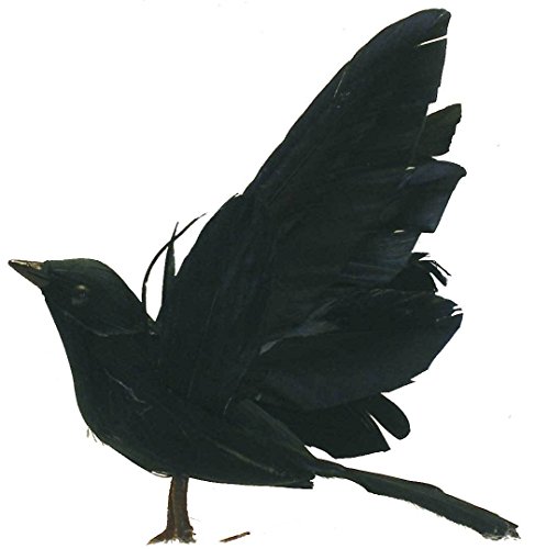 Factory Direct Craft Pkg of 6 Feather Flying Artificial Crow Black Birds